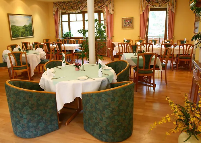 Hotel Flair Hochspessart Heigenbruecken