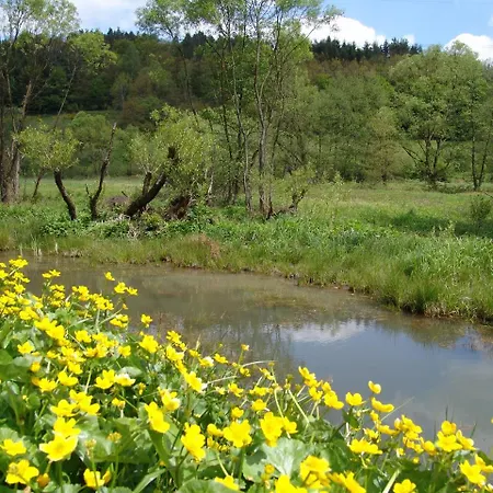 Отель Flair Hochspessart Heigenbruecken